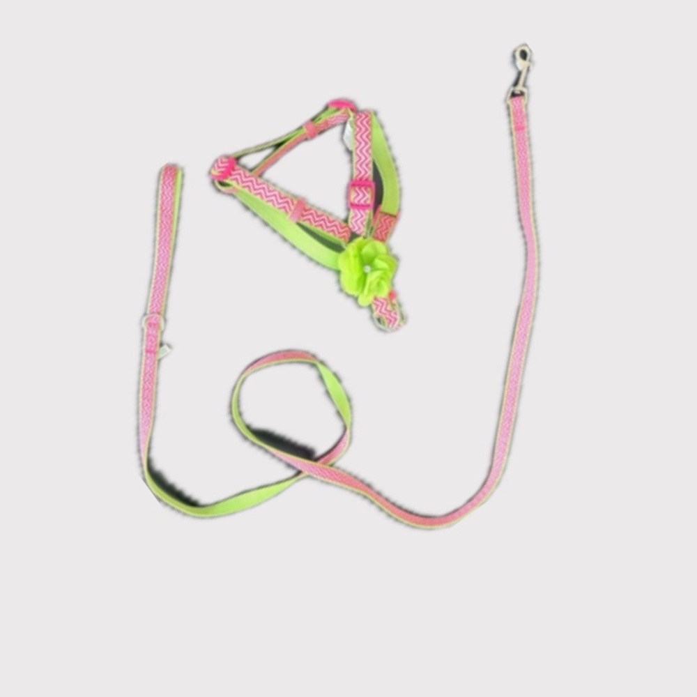 Martha Stewart Pet/Dog Harness & Leash Set, SM-M Pink/Green, Adjustable